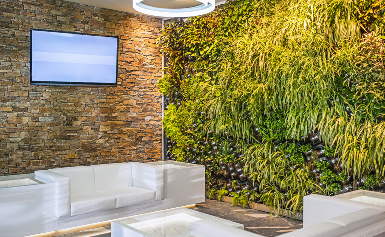 Como montar um jardim vertical para renovar os ambientes do seu lar