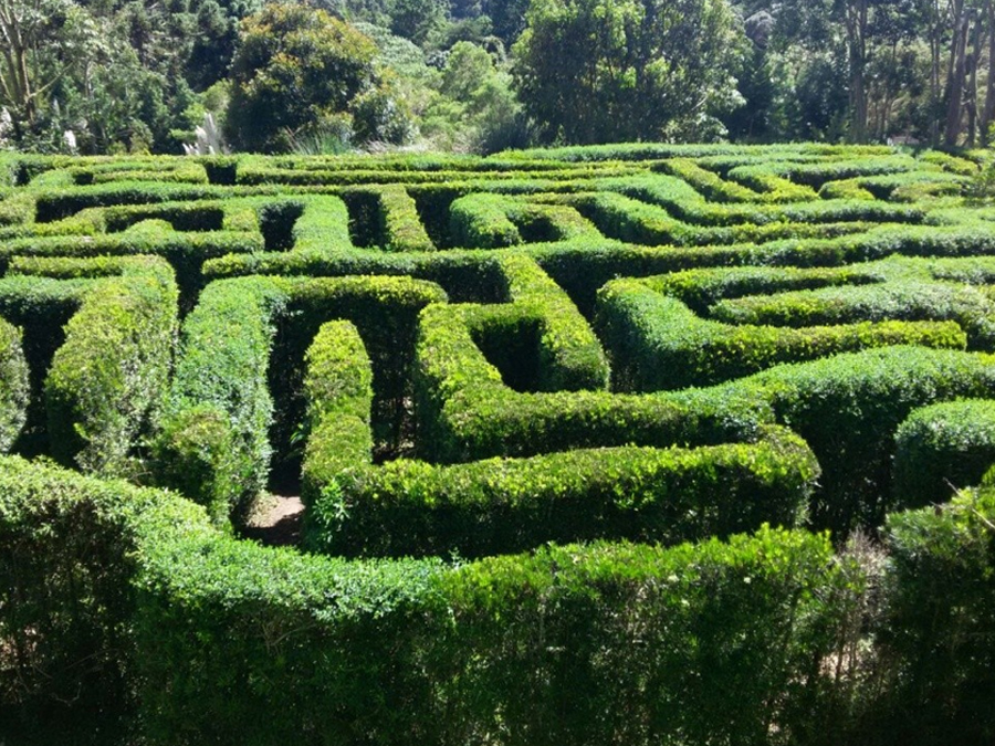 Conheça o Parque Amantikir em Campos do Jordão