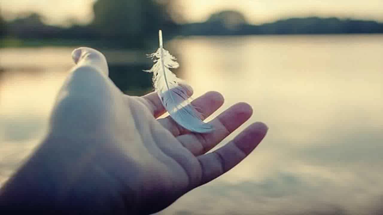 7 frases para você aproveitar mais o seu dia-a-dia