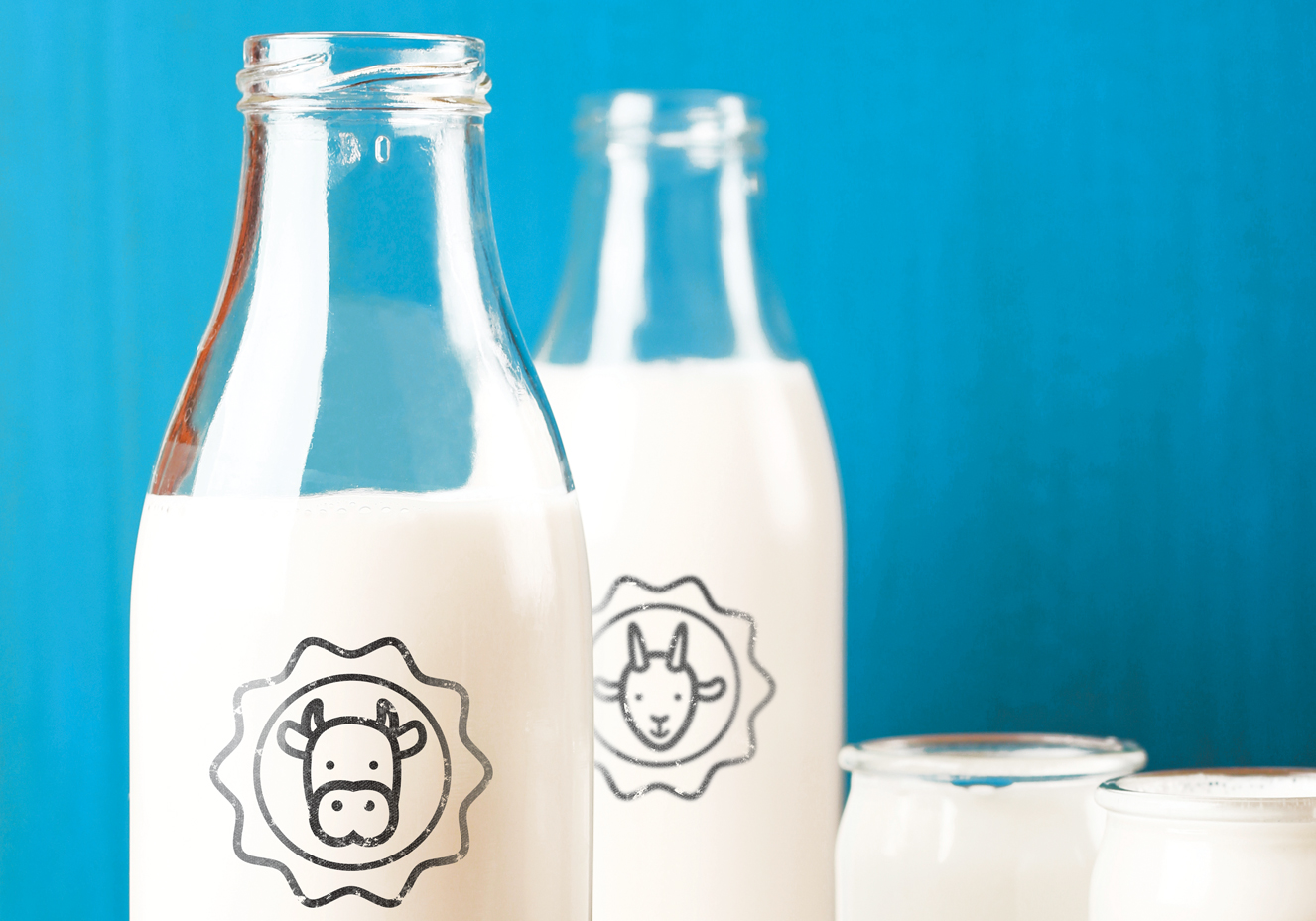 Os benefícios do leite!