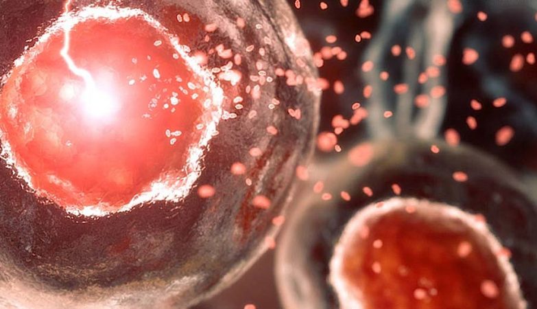 Cientistas estão usando nano robôs para combater câncer