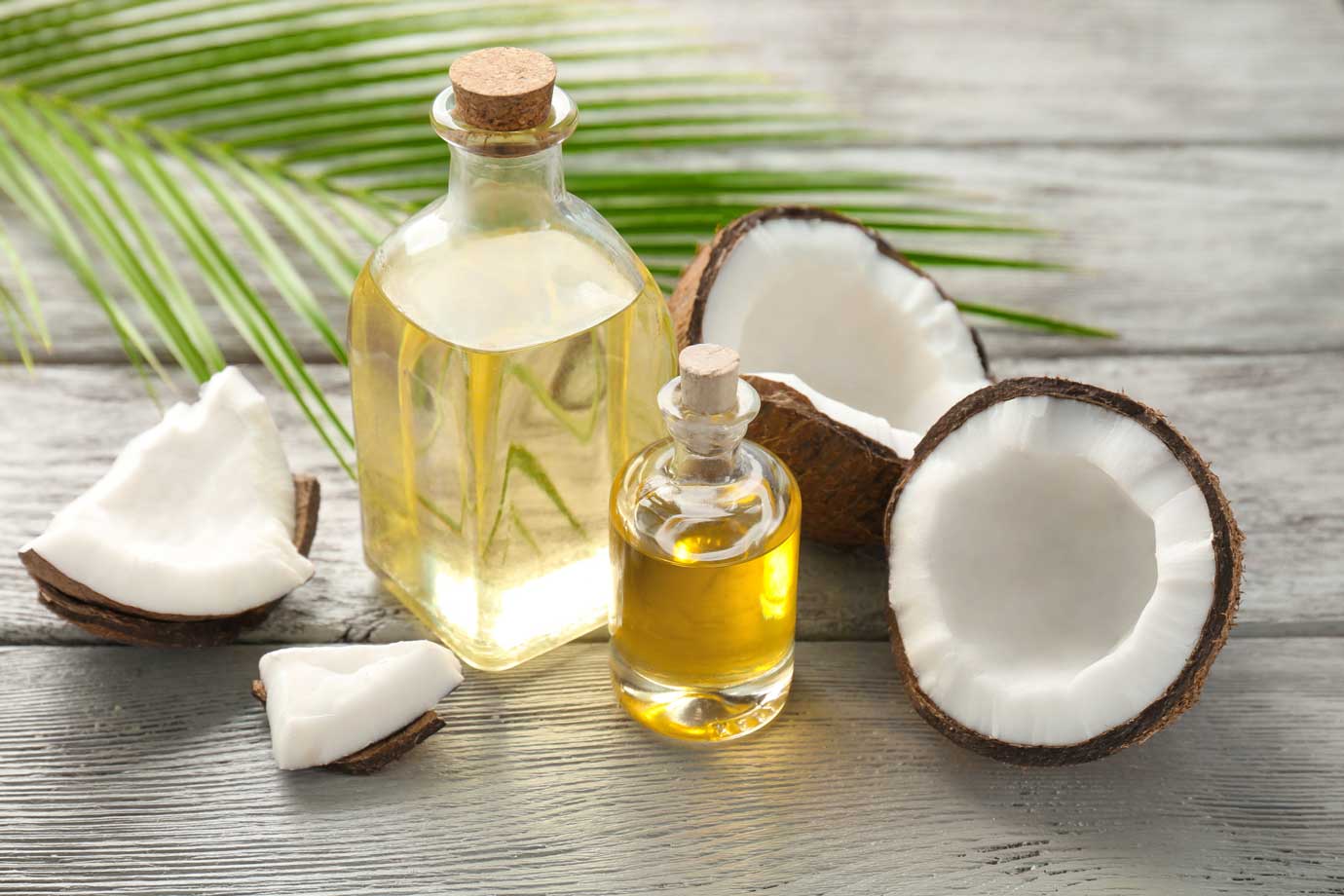 Os benefícios do óleo de coco!