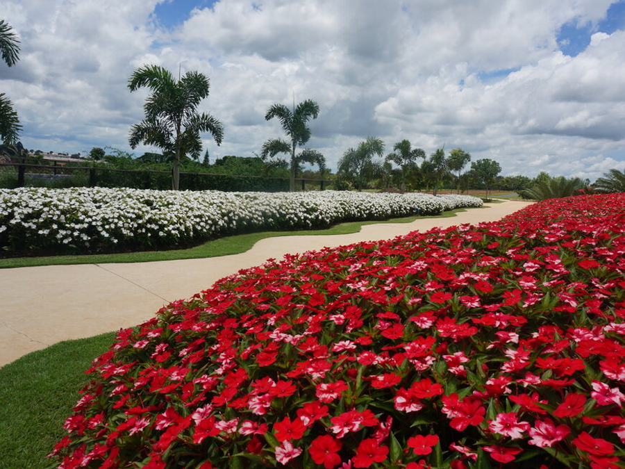 Conheça o Bloemen Park em Holambra