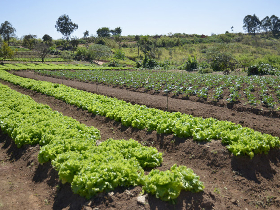 Conheça a Unidam, um parque ‘escondido’ em Jundiaí