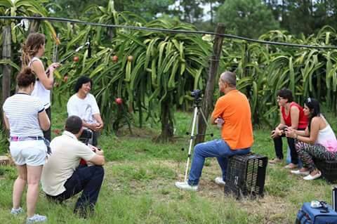 TV LOOCAL apresenta Ilhas Urbanas