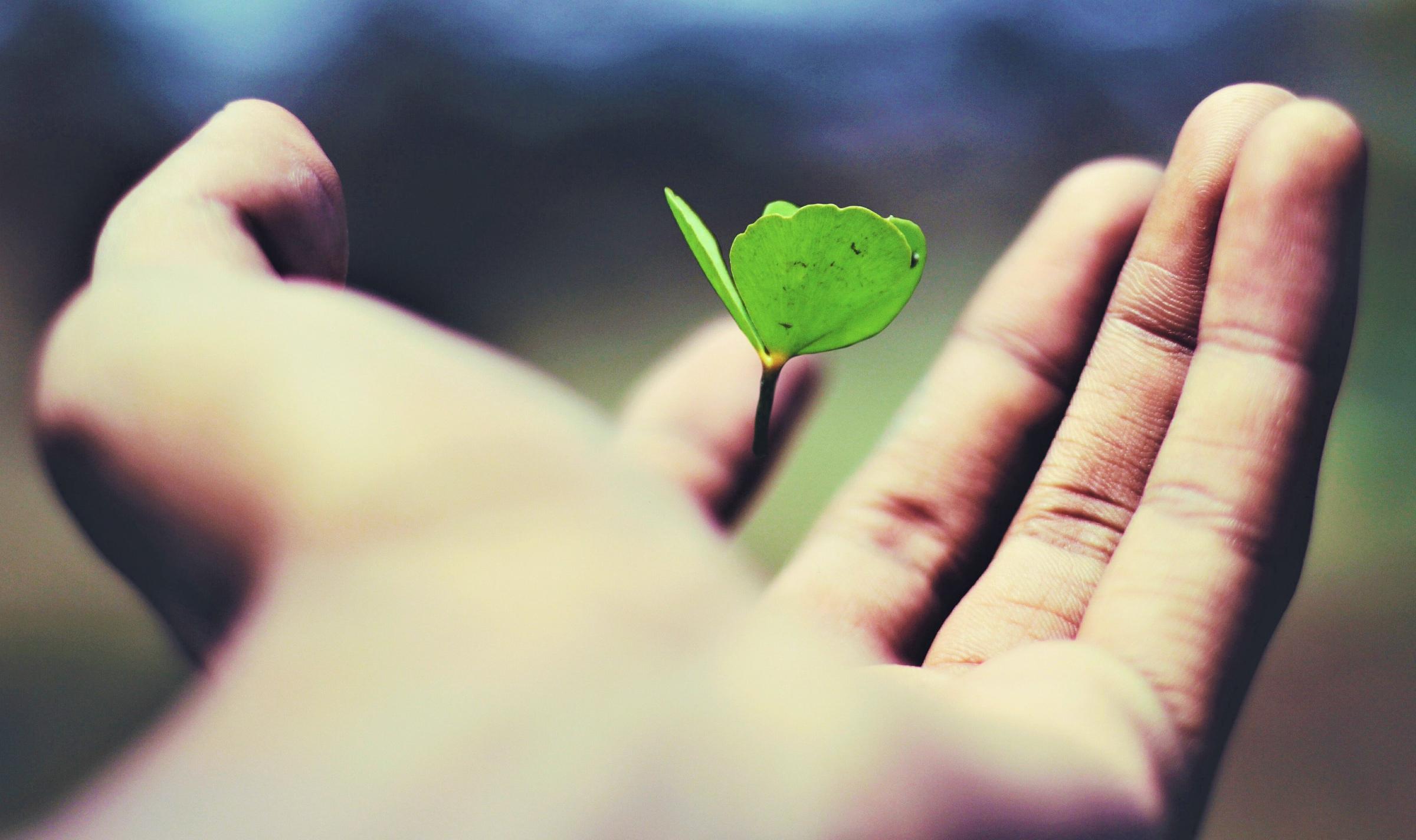 Filtre a negatividade da sua vida