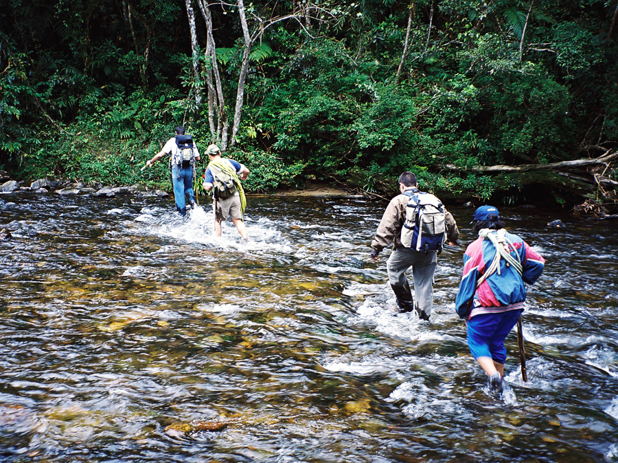 Ecoturismo em Capão Bonito: Conheça o famoso Parque do Paranapanema e seus atrativos naturais