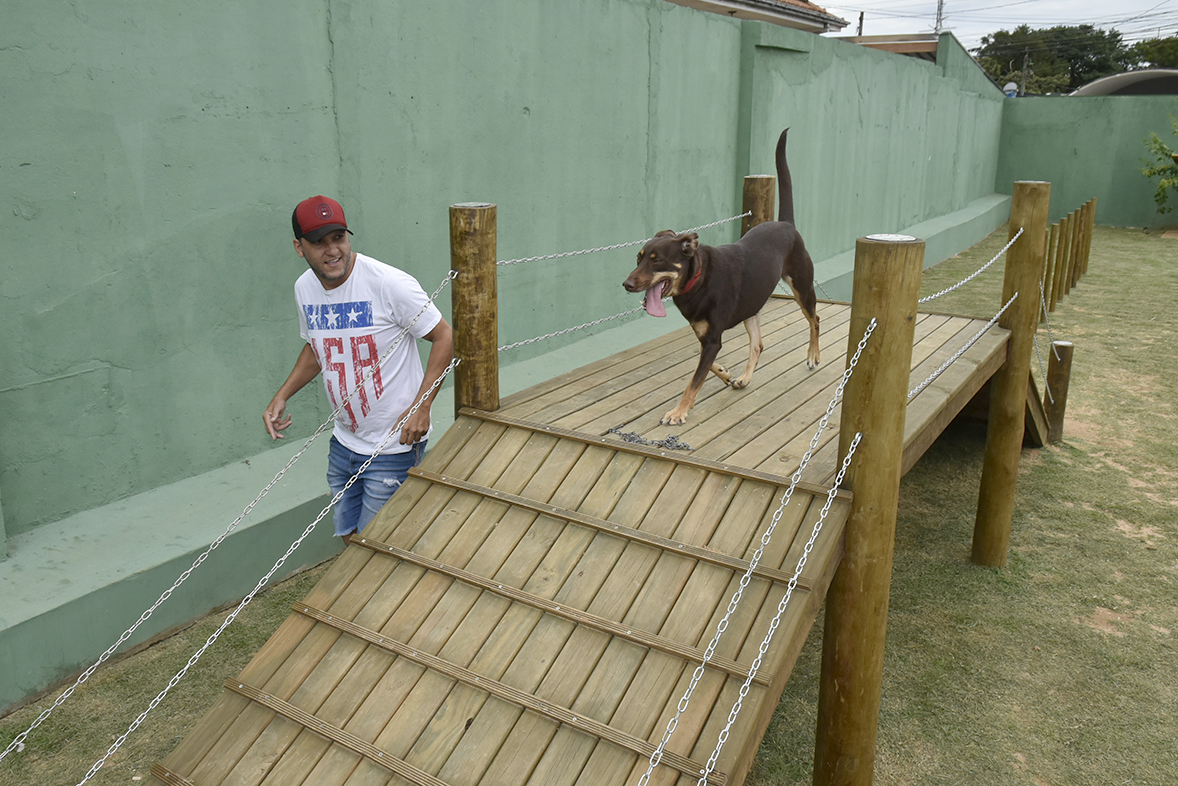 Lugares em Jundiaí Para Levar Seu Pet Para Passear