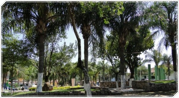 Revitalização de Ruas e Praças