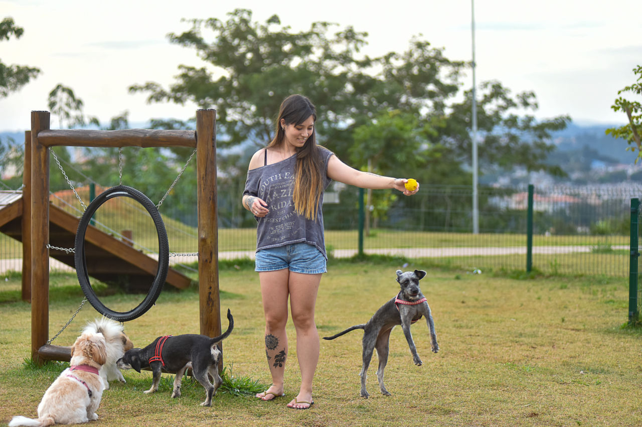 Lugares em Jundiaí Para Levar Seu Pet Para Passear