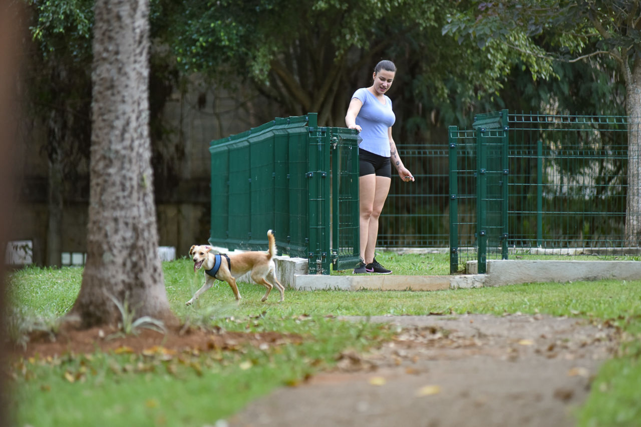 Lugares em Jundiaí Para Levar Seu Pet Para Passear