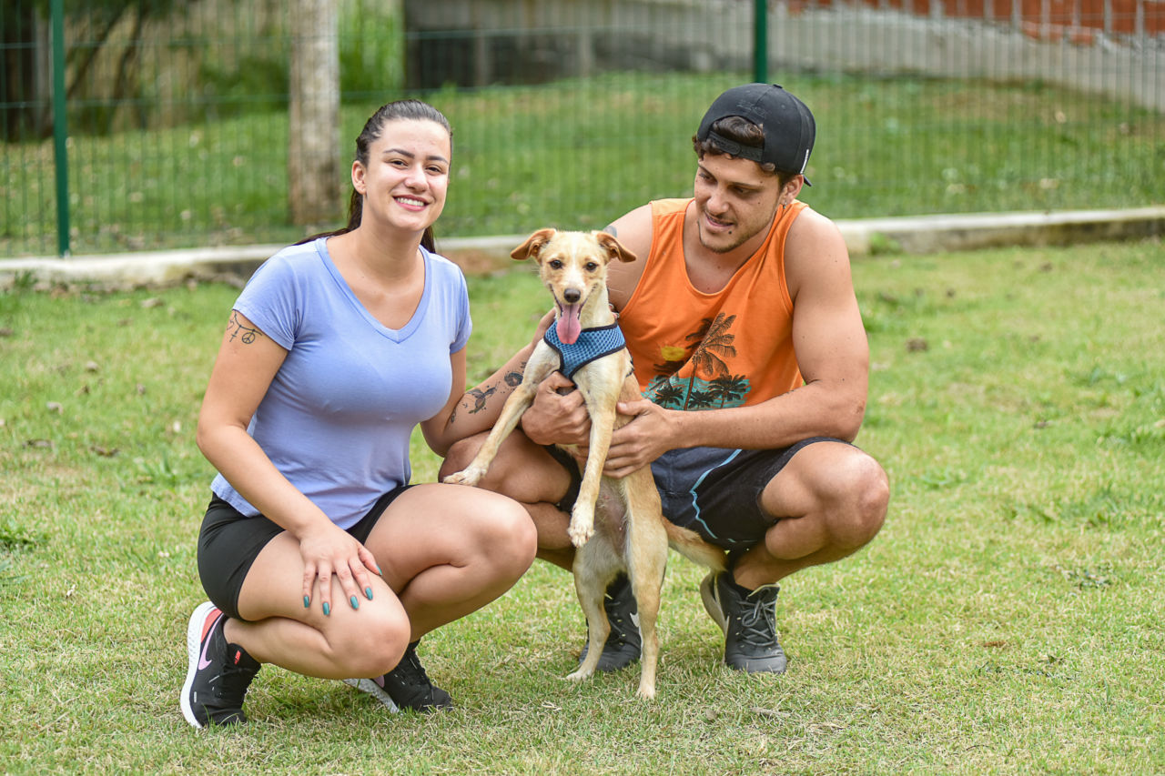 Lugares em Jundiaí Para Levar Seu Pet Para Passear
