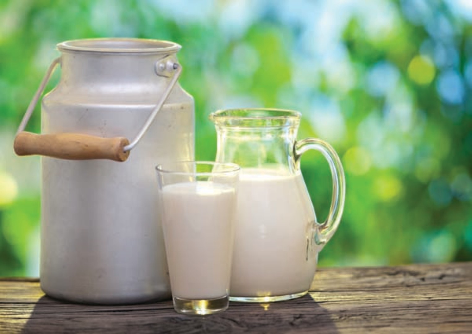 O leite e seus benefícios 