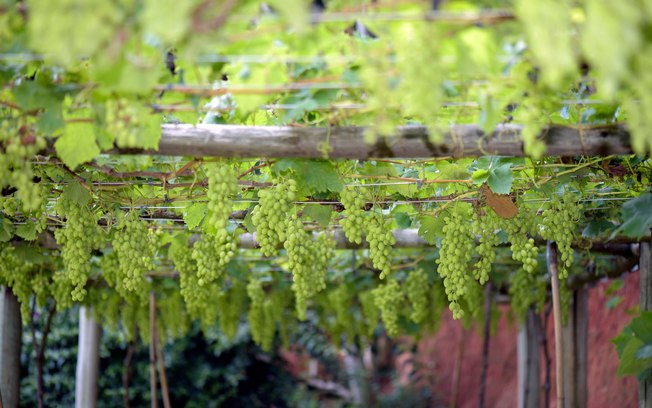 Prepare-se Para Um Final de Semana em São Roque - SP