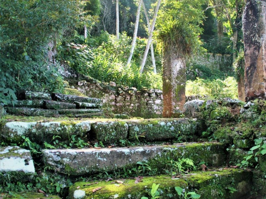 Sítio Arqueológico de São Francisco em São Sebastião é opção de lazer na cidade