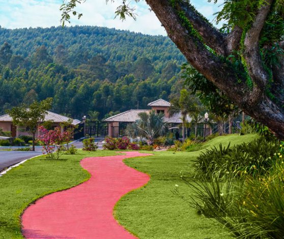 Imagine Morar em Um Lugar Como Esse