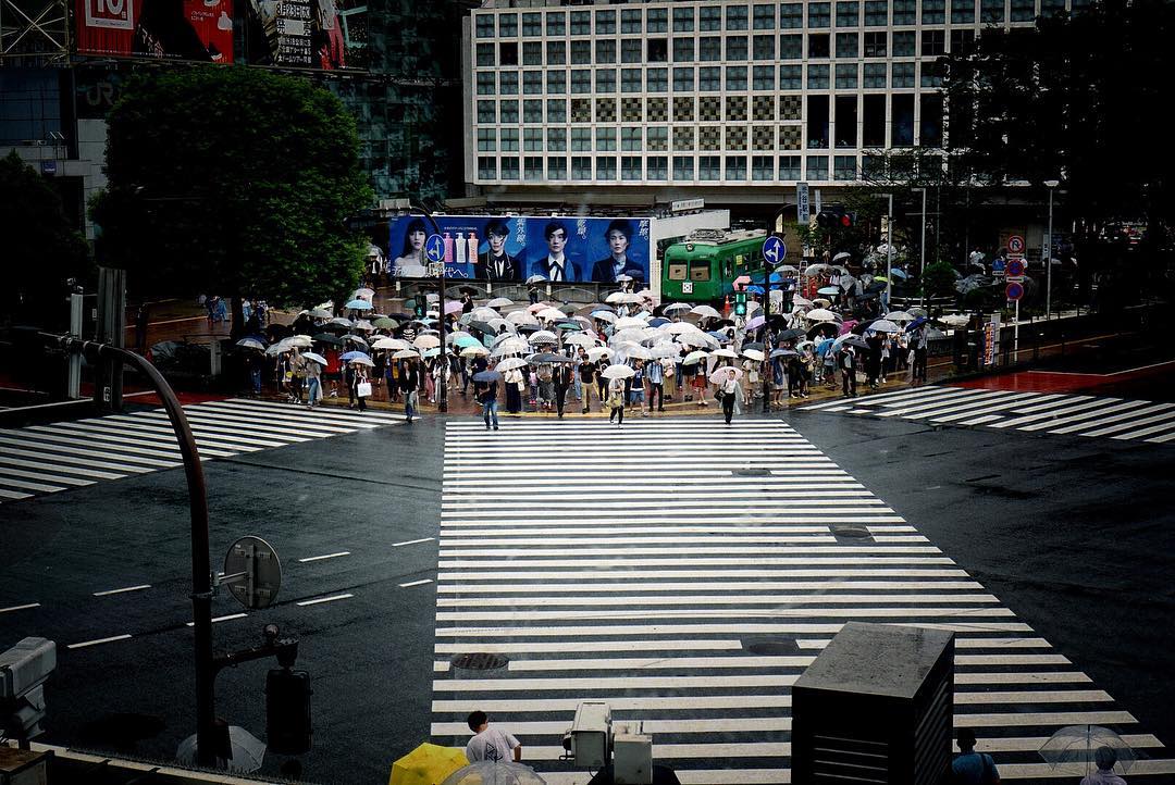 5 lugares do Japão que você precisa conhecer!