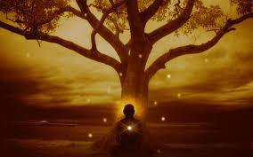 É descoberto um terceiro estado de consciência