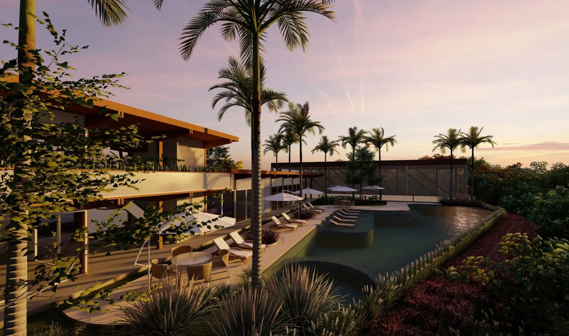 Conheça o Tiê em Campinas - Interior de SP