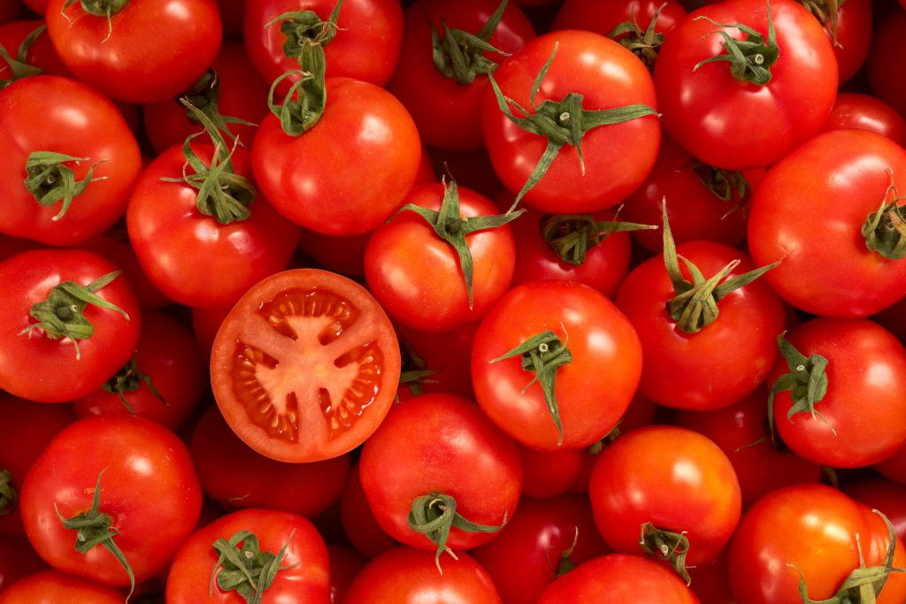 9 Dicas de Como Plantar Tomates Cerejas