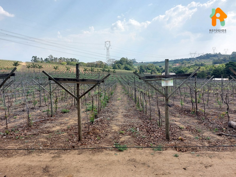 O Bairro Traviú em Jundiaí e Sua Tradição