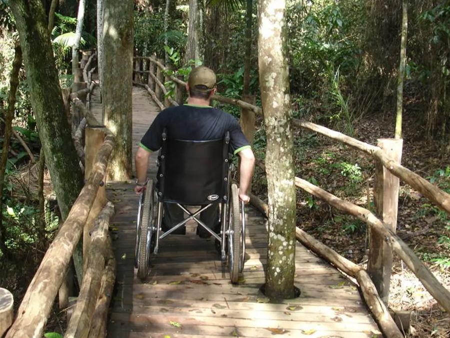 Trilha da Nascente: Conecte-se com a natureza sem sair de São Paulo