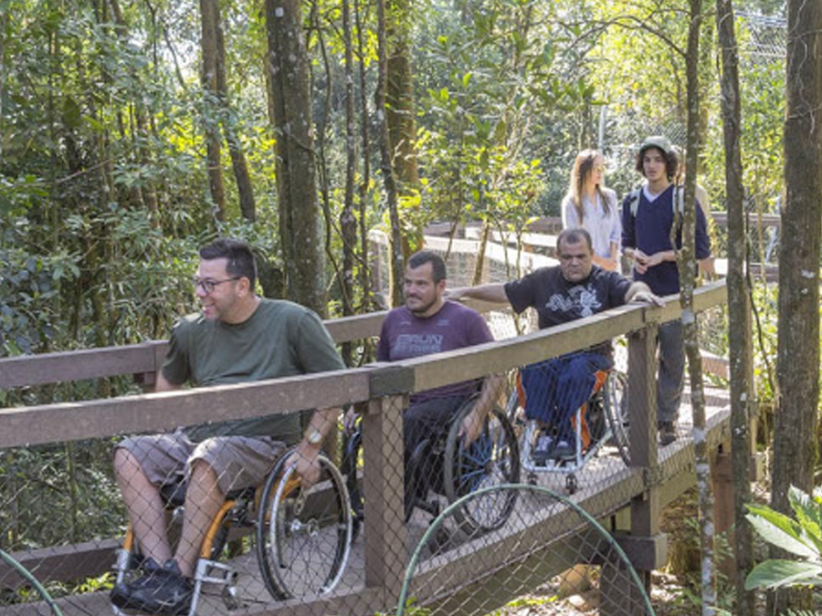 Conheça a Trilha Sensorial em São Bernardo do Campo