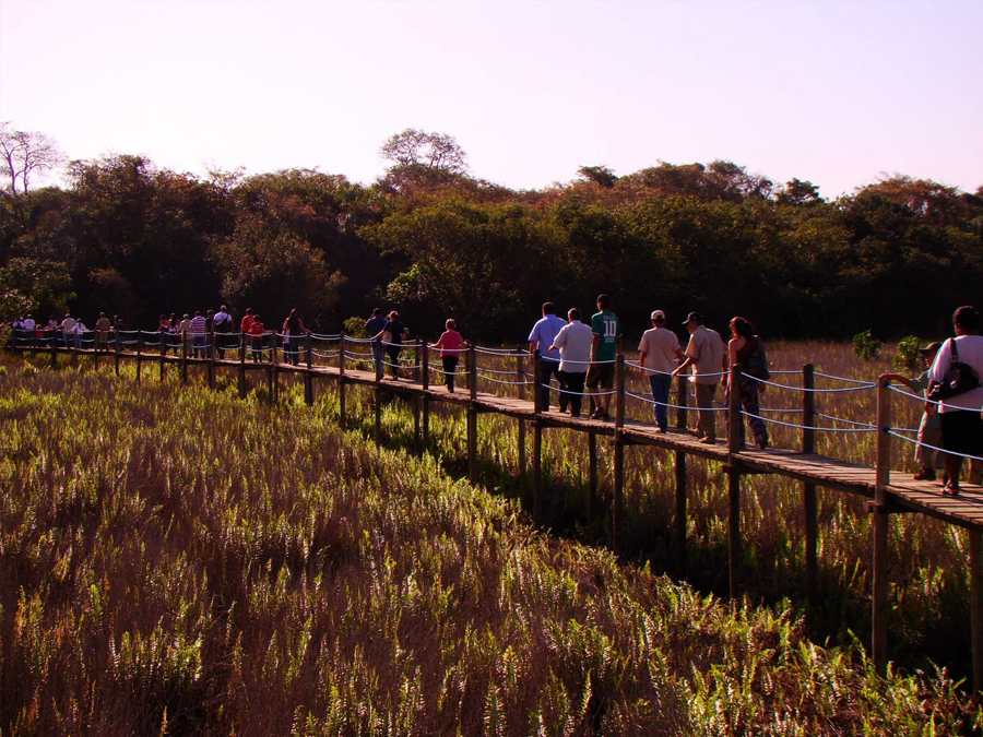 Conheça a famosa Trilha Barreiro da Anta em Teodoro Sampaio