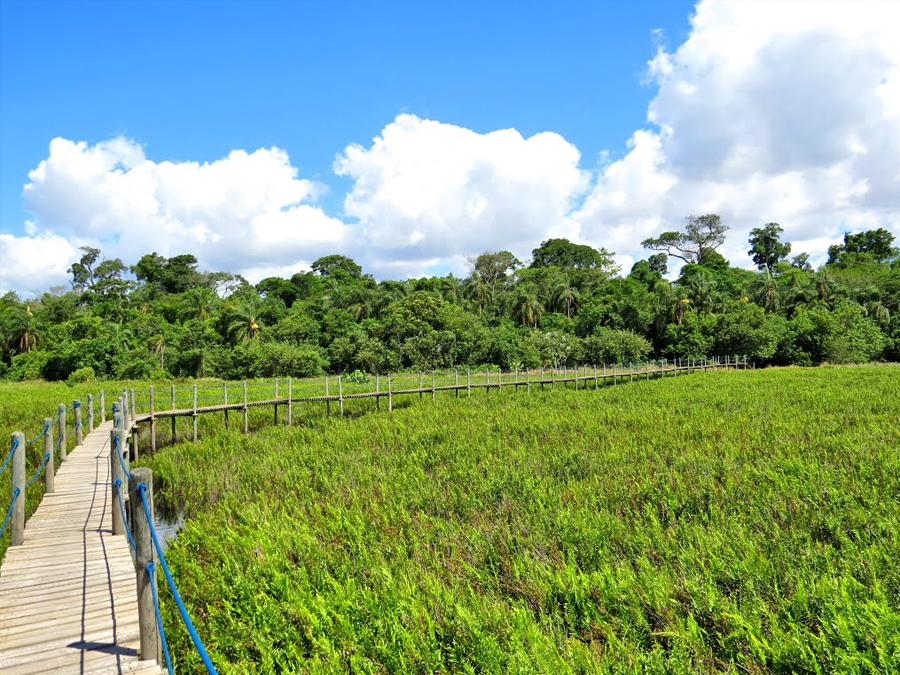 Conheça a famosa Trilha Barreiro da Anta em Teodoro Sampaio