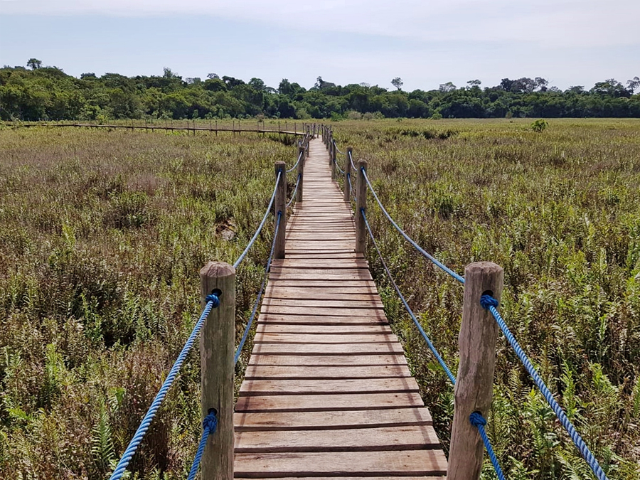 Conheça a famosa Trilha Barreiro da Anta em Teodoro Sampaio