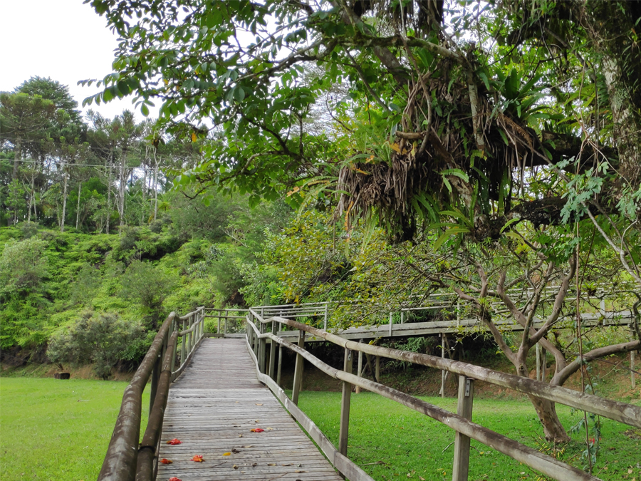 São Miguel Arcanjo oferece trilha acessível pessoas com mobilidade reduzida