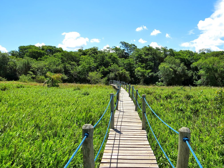 Conheça a famosa Trilha Barreiro da Anta em Teodoro Sampaio