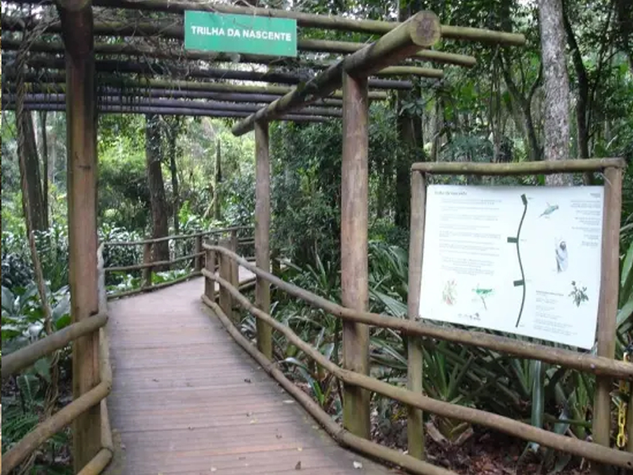 Trilha da Nascente: Conecte-se com a natureza sem sair de São Paulo