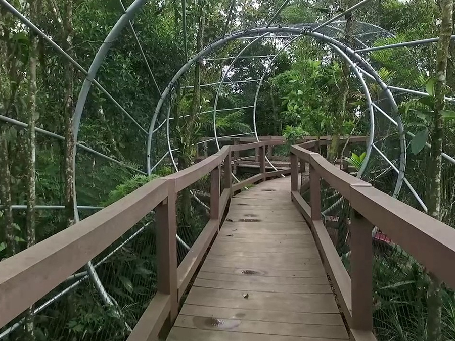 Conheça a Trilha Sensorial em São Bernardo do Campo