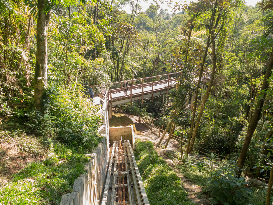 Conheça a Trilha Sensorial em São Bernardo do Campo