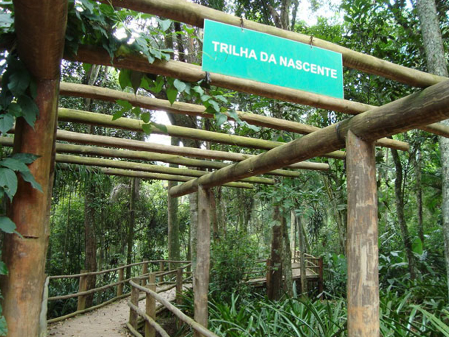 Trilha da Nascente: Conecte-se com a natureza sem sair de São Paulo