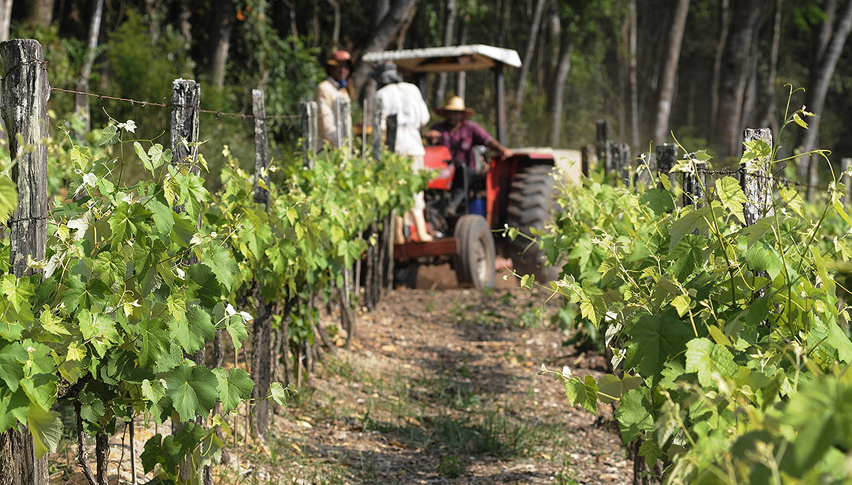 Rotas Turísticas de Jundiaí - SP