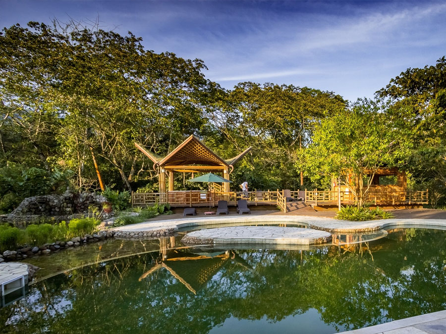 Hospedagem ecológica em Ubatuba: conheça o Banana Bamboo Ecolodge