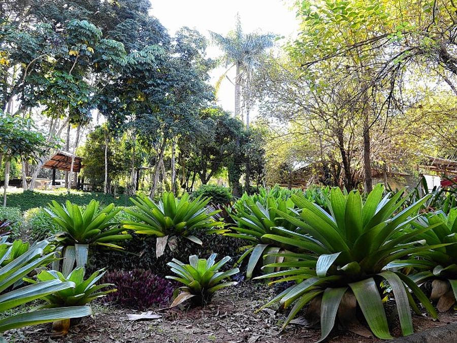 Conheça a Unidam, um parque ‘escondido’ em Jundiaí