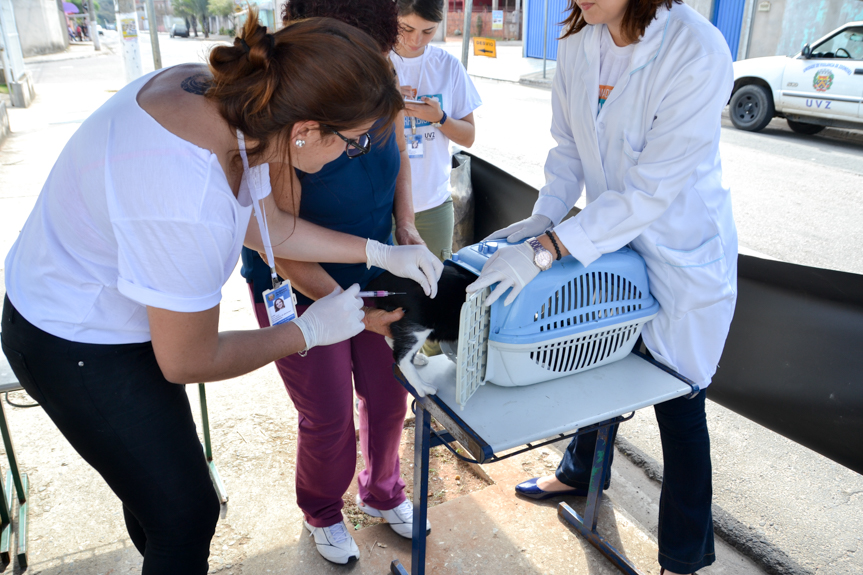 Vacinação antirrábica terá ação especial em Itupeva neste domingo!