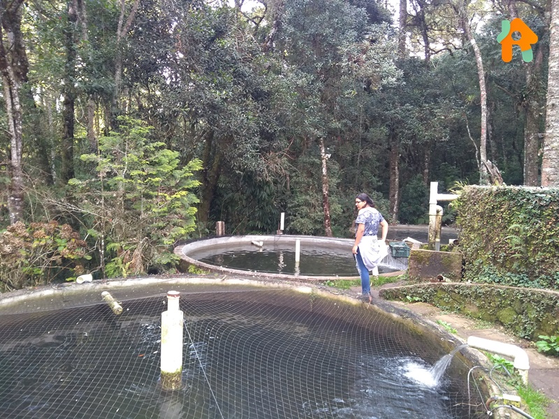 O Que Fazer Em Monte Verde, A  Cidade dos Enamorados