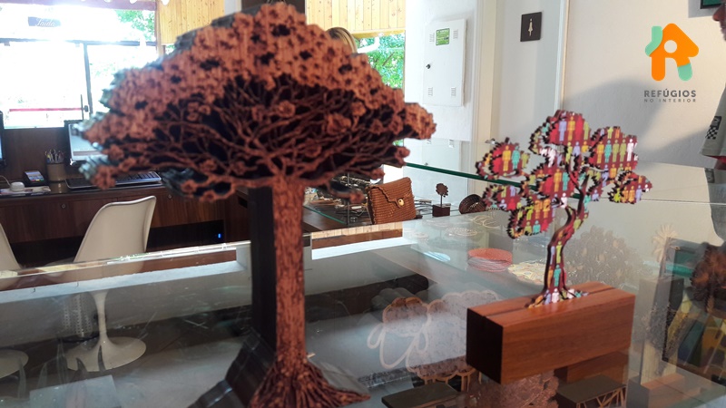 O Que Fazer Em Monte Verde, A  Cidade dos Enamorados