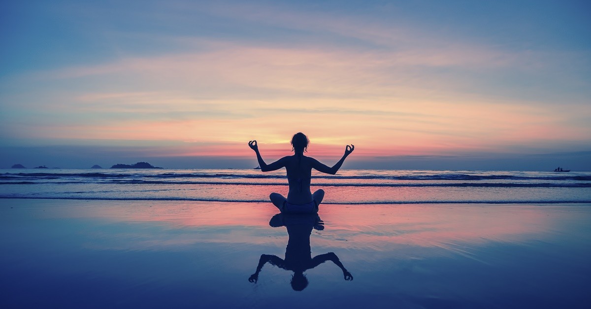 A vida na mais pura natureza