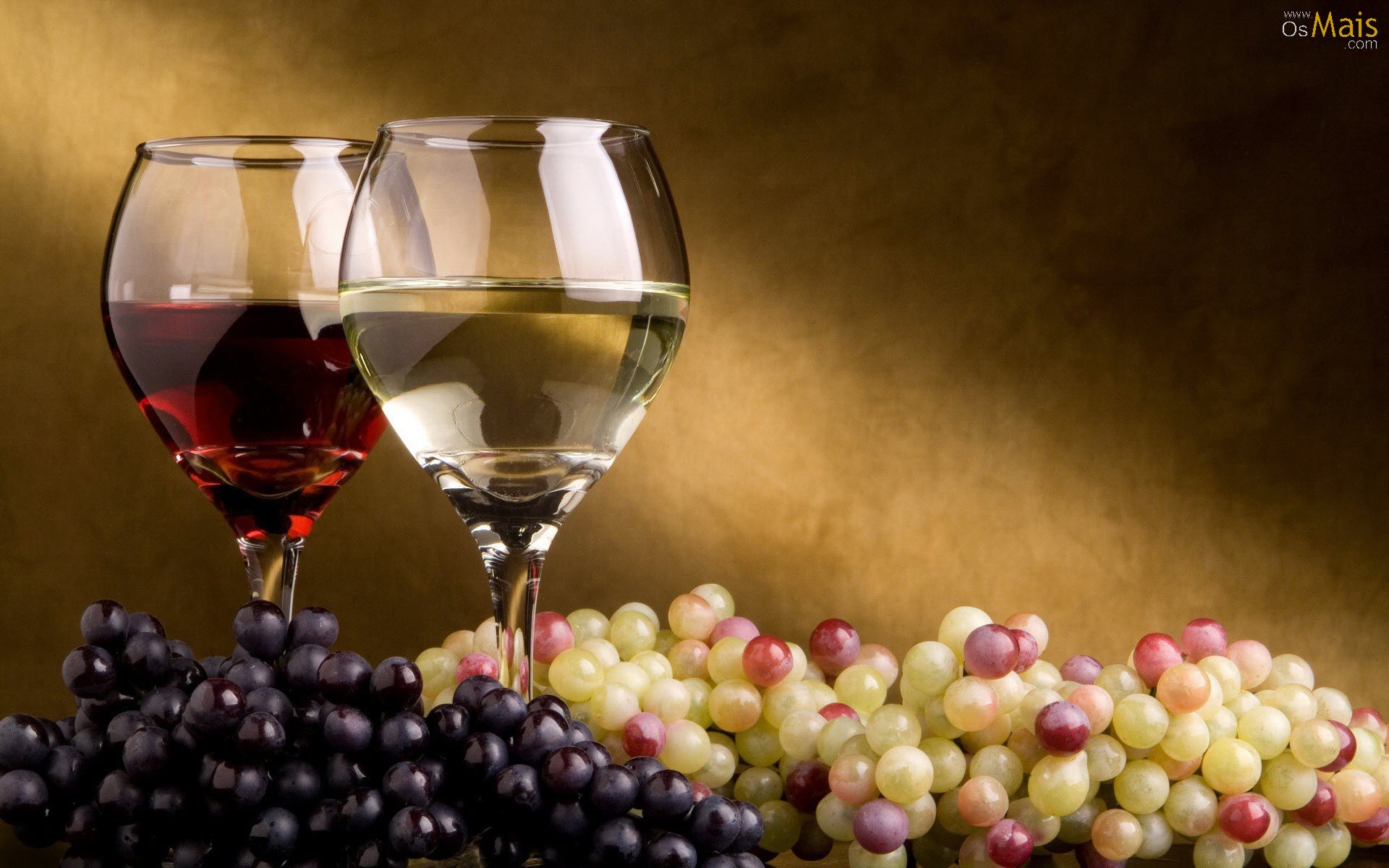 O que você precisar saber e entender para degustar um bom Vinho?