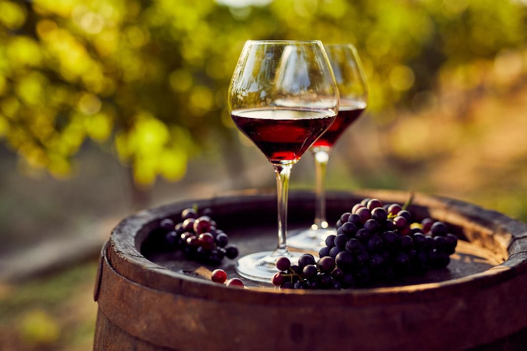 Como Fazer Vinho Artesanal