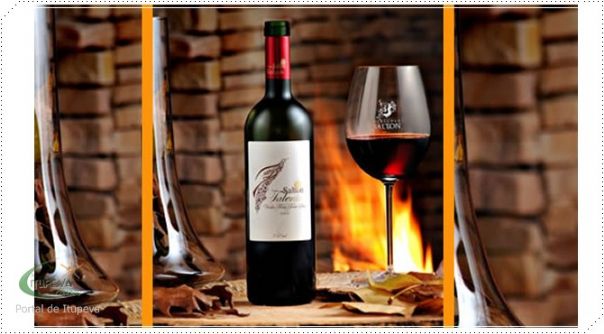 Saiba mais Sobre o Vinho