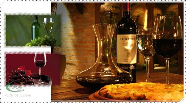 Tipos de Vinho Tinto