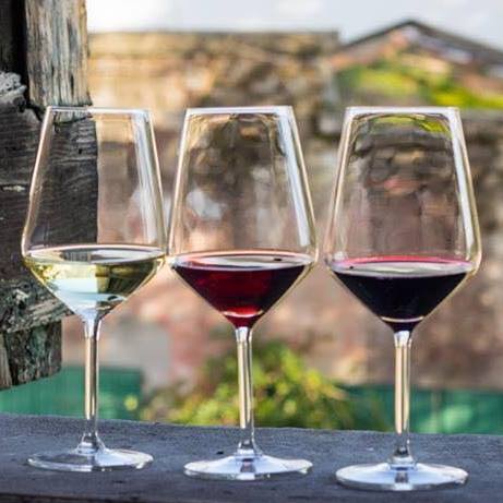 O Prazer de Degustar Vinhos Brasileiros