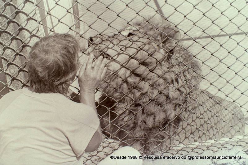 Que Tal Relembrar o Zoológico de Jundiaí - Vale dos Guaribas